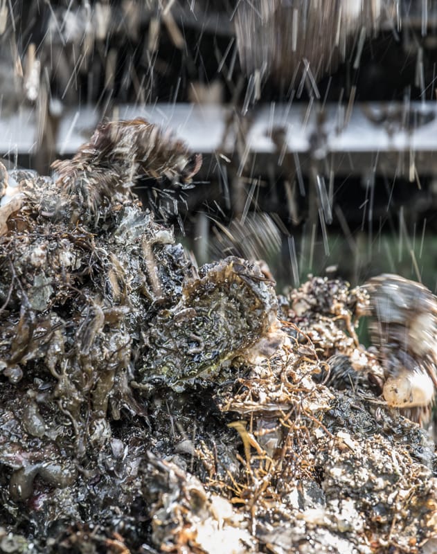 The production, the family, our passion.