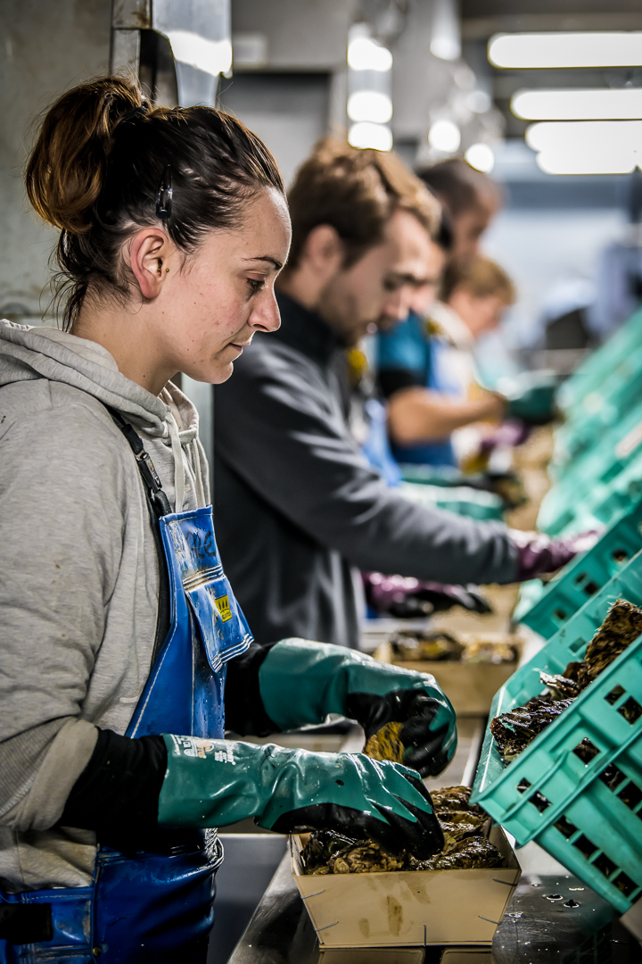 La passion des huîtres en héritage, depuis 1950